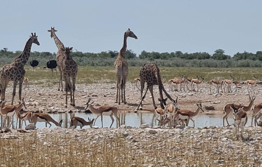 Tamboti Farm Accommodation