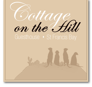 Cottage on the Hill