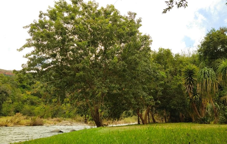 Nomads Rest River View Wild Camp.