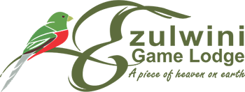 Ezulwini Game Lodge