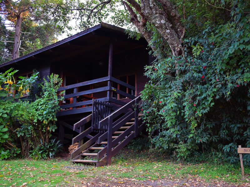 Log chalet