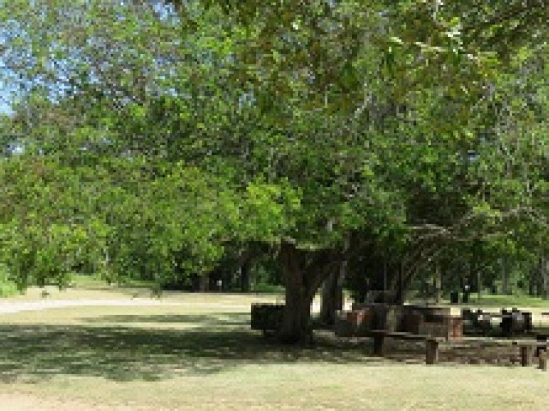 Communal Camp Sites