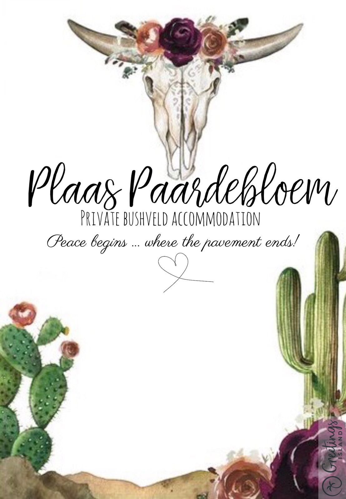 Plaaspaardebloem