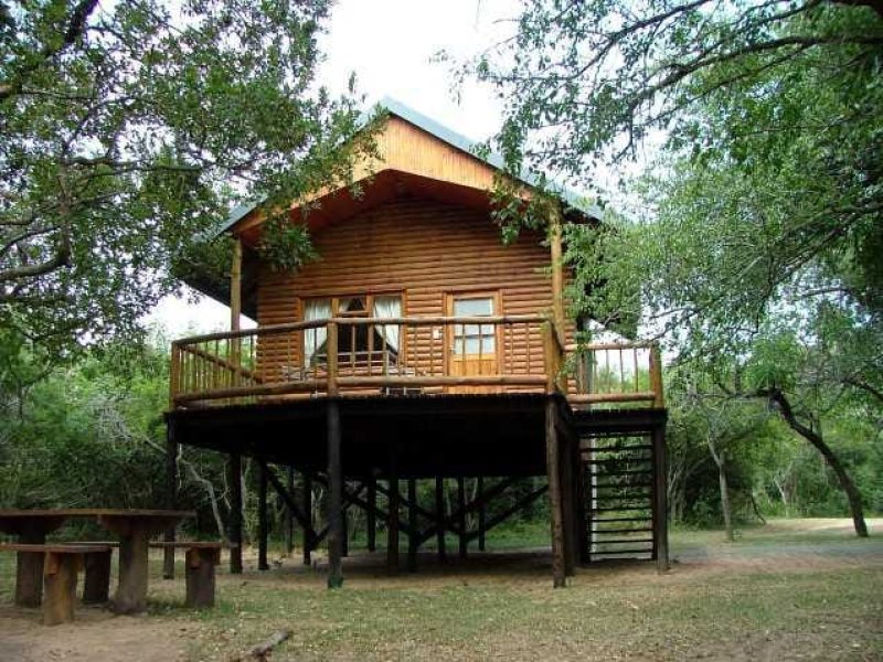 Tree House