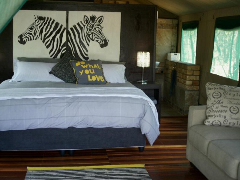 Zebra Luxury Tent