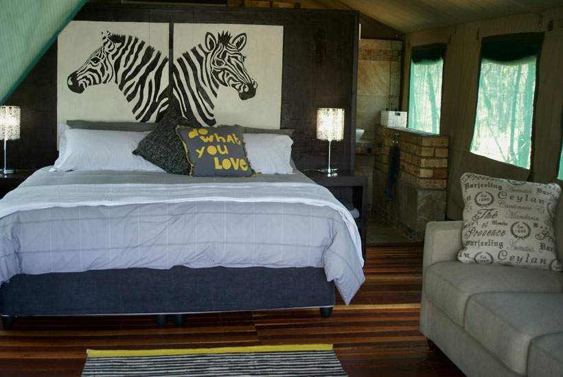 Zebra Luxury Tent