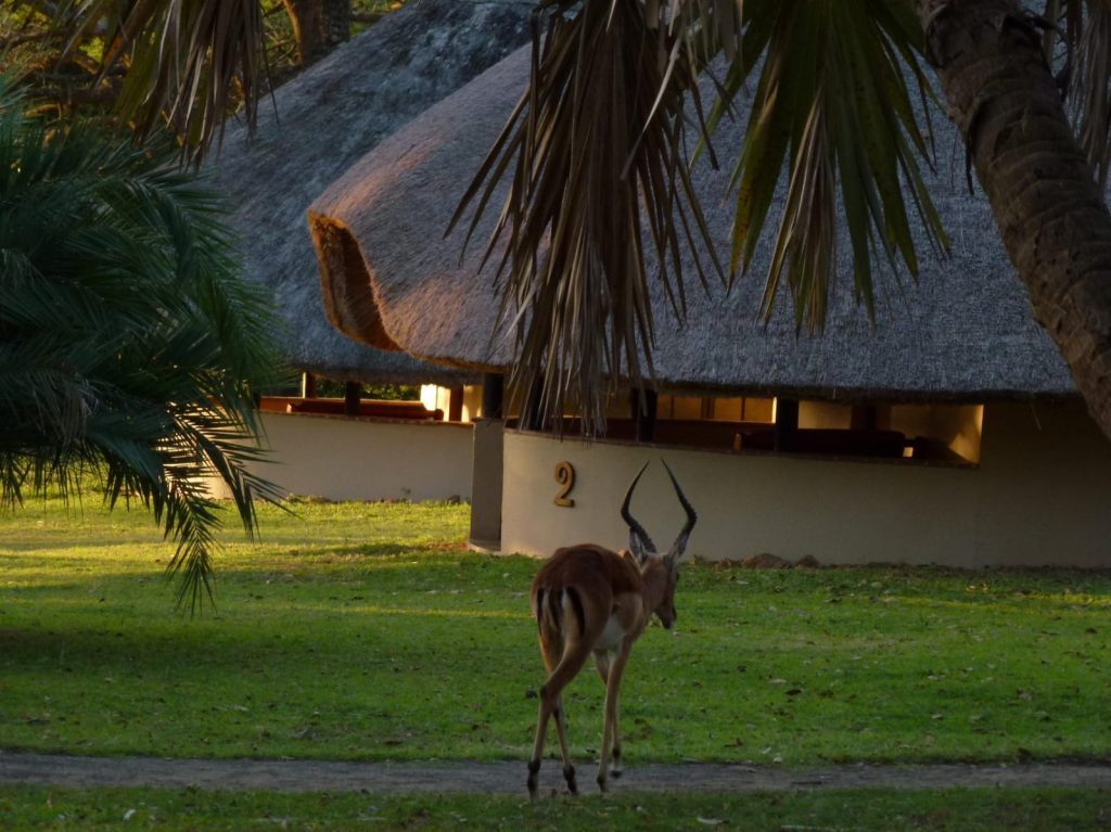 Lalapanzi Lakeview Chalet [ Bonamanzi Game Reserve]