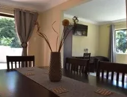 229097546