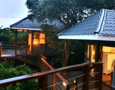 Wakene Beach Estate [TreeTop Haven]