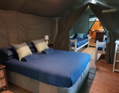 Boa Vista Resort [Safari Tent with En-suite bathroom]