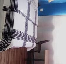 523936150