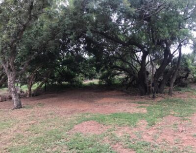 De Rust Campsite – Inner Stand 3