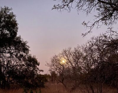 De Rust Campsite -Bush Stand 5