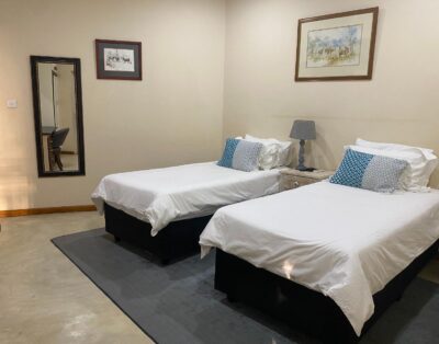 Twin Room with Bath and Shower