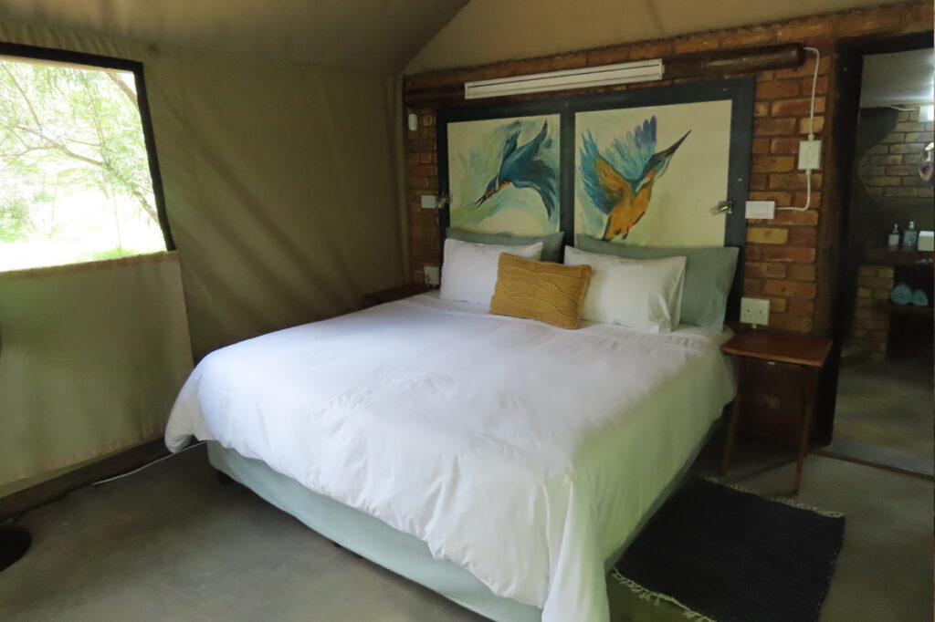 Kingfisher_Luxury-3