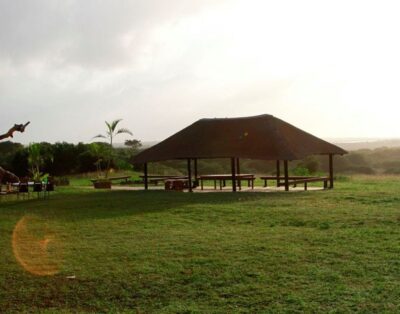 Bonamanzi Game Reserve  [ Private Camp Sites]