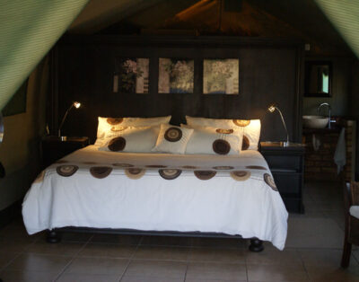 Beka Idube (Bushbaby Luxury Tent)