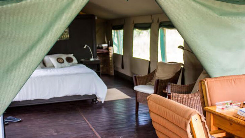 meercat-tent-3