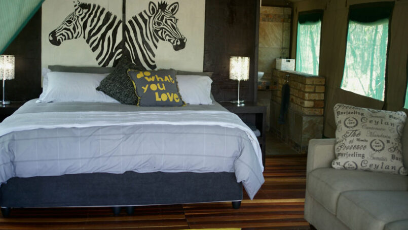 zebra-tent-3