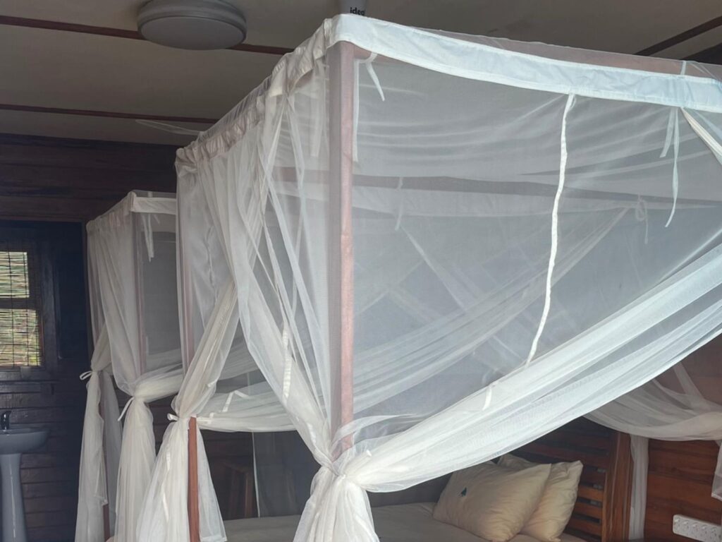 447929