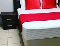470184966_568041842511036_7348890225757229811_n