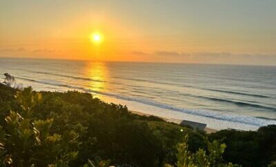 IMG-20230711-WA0014-400x284