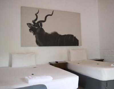 Casa Palmeira Guesthouse – Room 8
