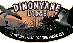 Dininyane-Logo