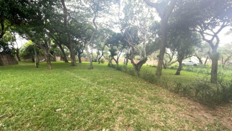 villa_nbanga_campsites_dec_2025_1_0-800x450