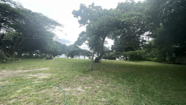 villa_nbanga_campsites_dec_2025_2-800x450