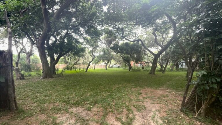 villa_nbanga_campsites_dec_2025_2_0-800x450